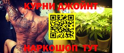 гашик Ливны